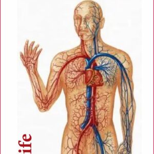 DR. Pri-Narvi Plus – Heart Health & Vitality Booster
